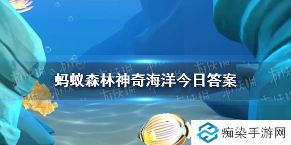 哪种螃蟹在珊瑚中产卵孵化 神奇海洋11月29日答案最新